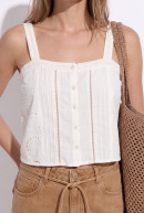 MUSCULOSA FRANCIS