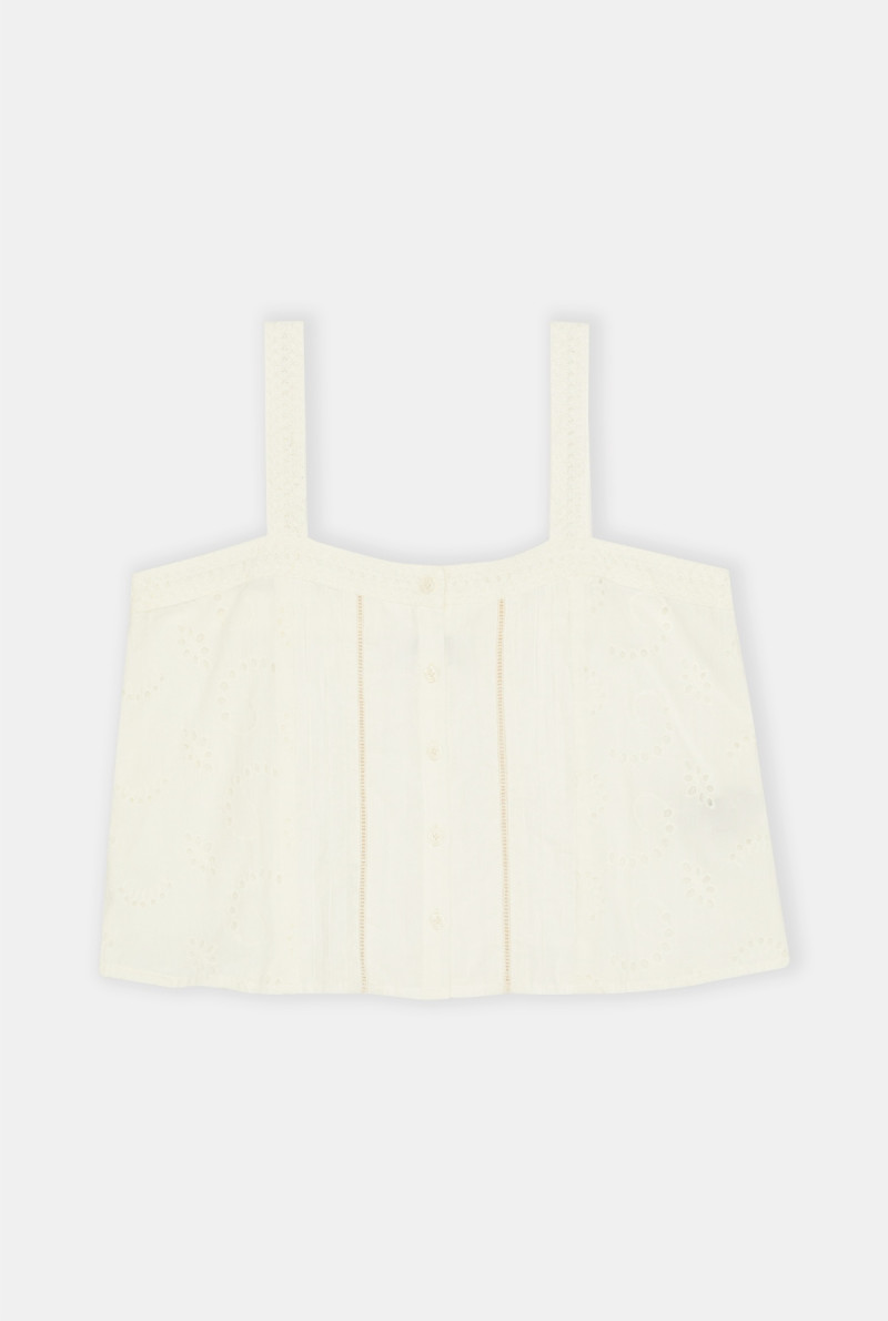 MUSCULOSA FRANCIS